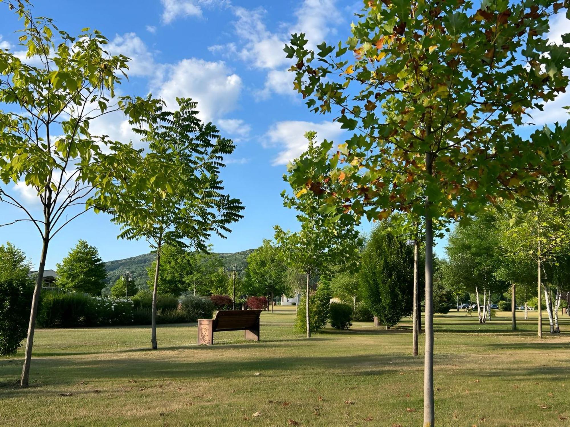 Vila Cu Mesteceni Cîmpina Dış mekan fotoğraf