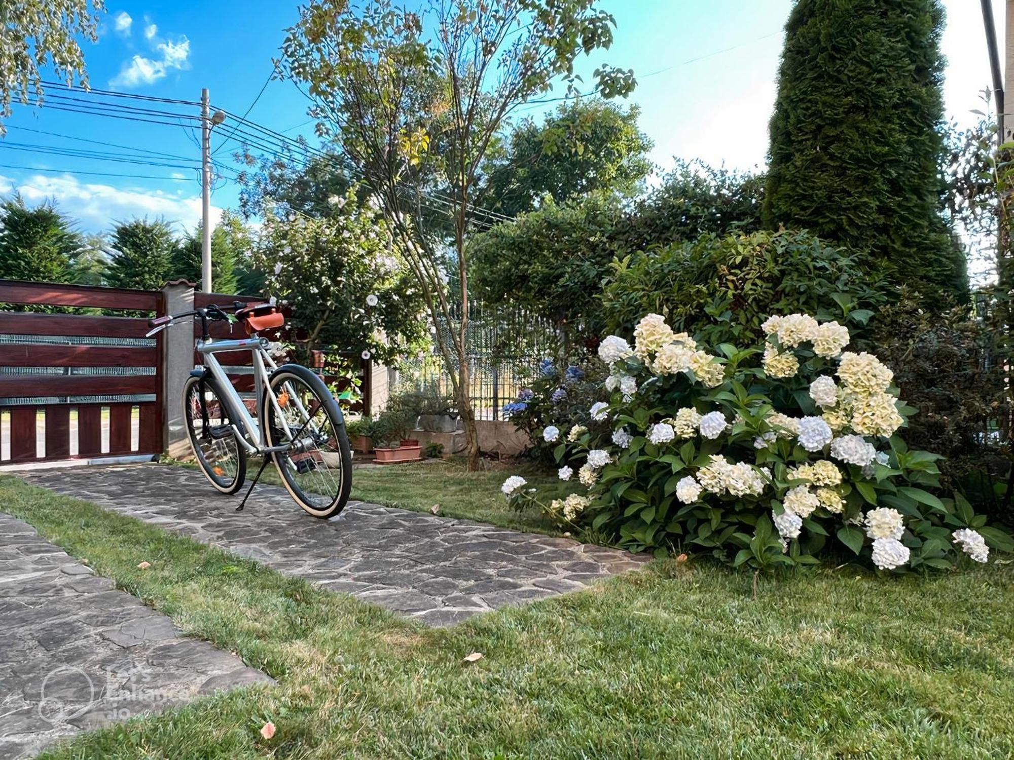 Vila Cu Mesteceni Cîmpina Dış mekan fotoğraf